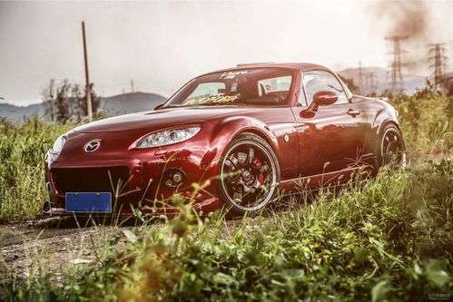 女生眼中low到爆的汽車改裝 幼稚貼紙竟非第一？